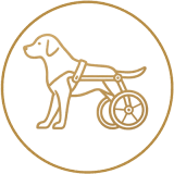 Grafik - Hund mit Gehhilfe